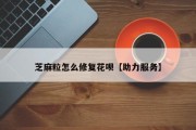 芝麻粒怎么修复花呗【助力服务】