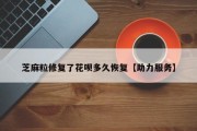 芝麻粒修复了花呗多久恢复【助力服务】