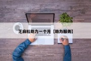 芝麻粒助力一个月【助力服务】