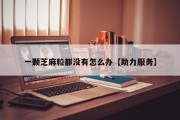 一颗芝麻粒都没有怎么办【助力服务】