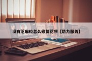 没有芝麻粒怎么修复花呗【助力服务】