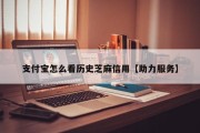 支付宝怎么看历史芝麻信用【助力服务】
